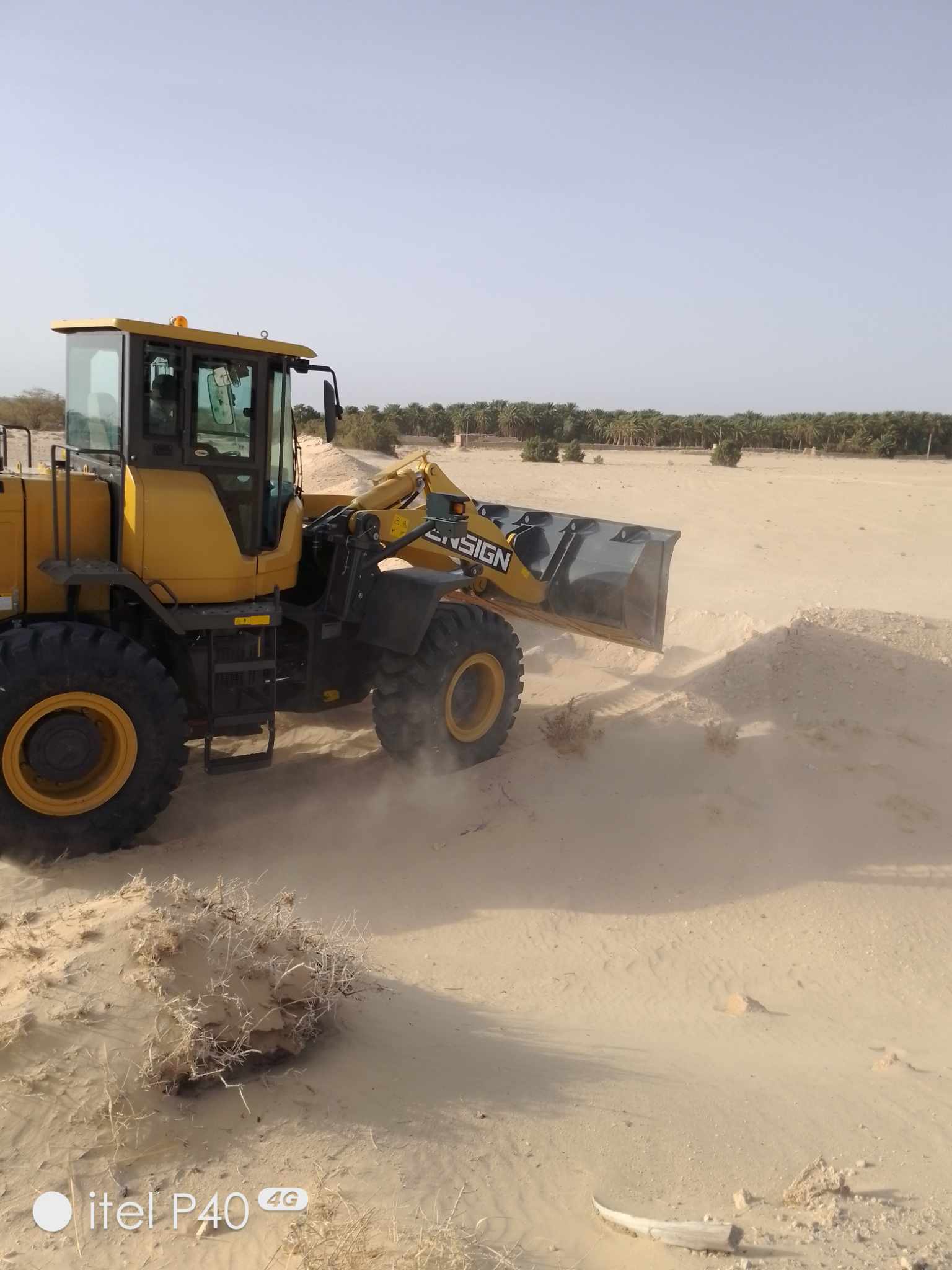 وزارة أملاك الدّولة تسترجع عقارين دوليين فلاحيين بولاية توزر